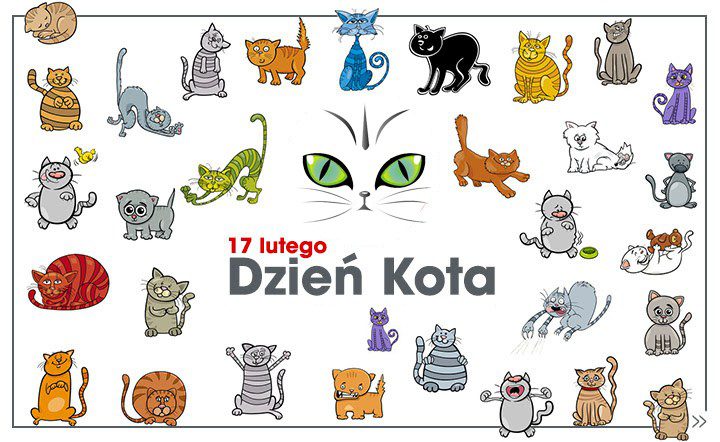 Miauczy kotek: miau! czyli Światowy Dzień Kota